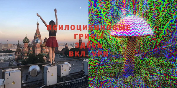 мяу мяу мука Арсеньев