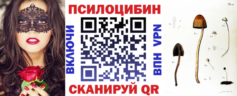 blacksprut   где найти   Ужур  Галлюциногенные грибы мицелий 